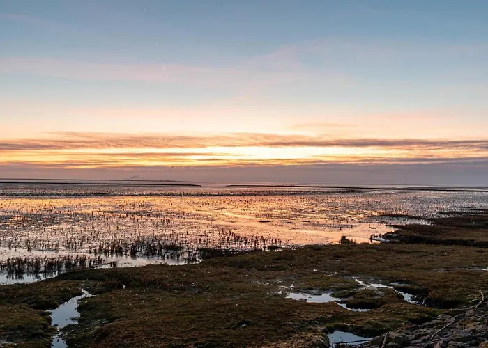 Schwalbennest V By Interhome Daire